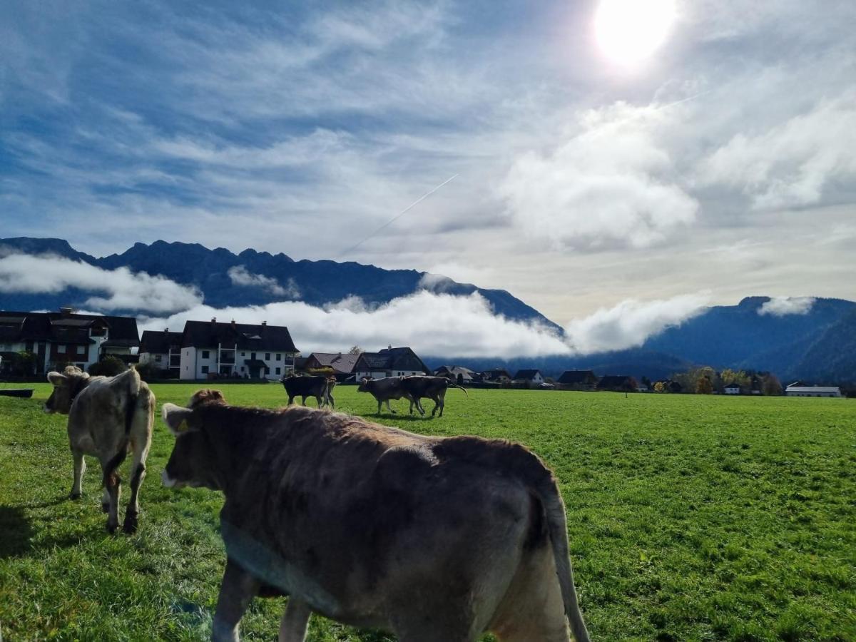 Urlaub Am Bauernhof Bei Familie Steinbrecher บัดมิทแทร์นดอร์ฟ ภายนอก รูปภาพ