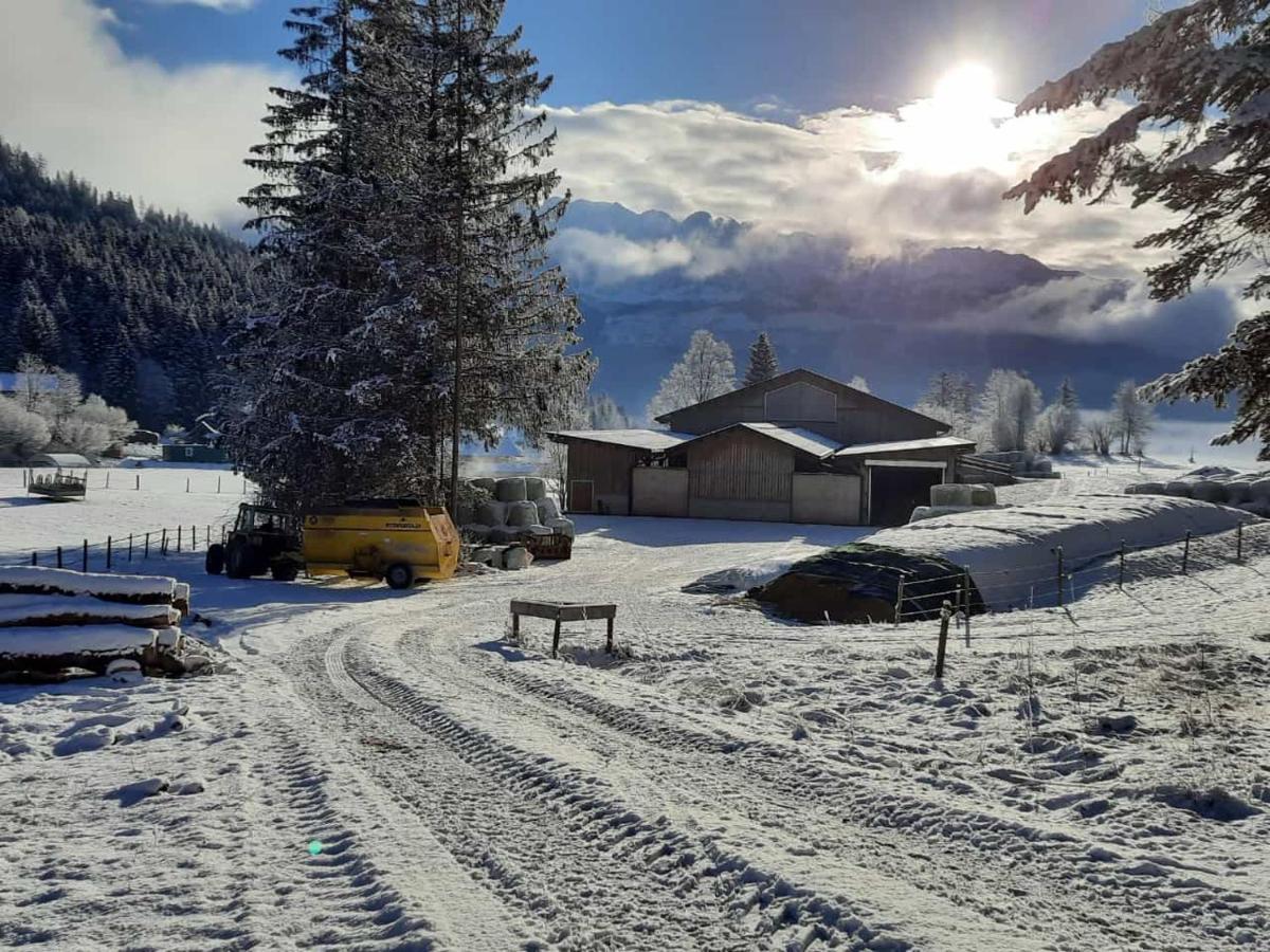 Urlaub Am Bauernhof Bei Familie Steinbrecher บัดมิทแทร์นดอร์ฟ ภายนอก รูปภาพ